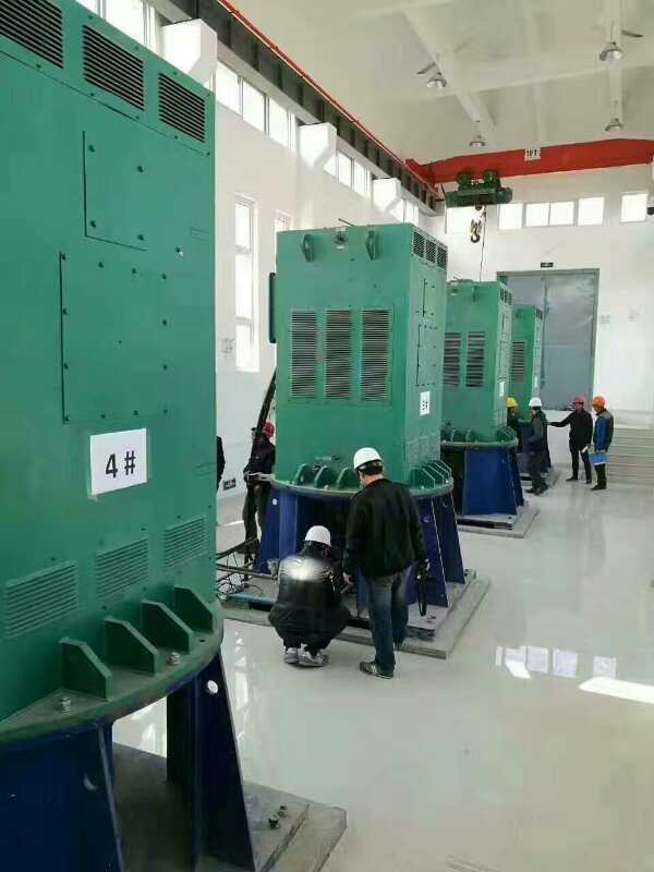 江宁某污水处理厂使用我厂的立式高压电机安装现场